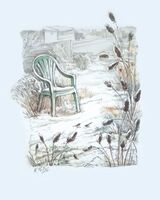 Snowy Allotment