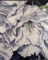 Rhododendrons