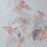 Jennifer Wilce