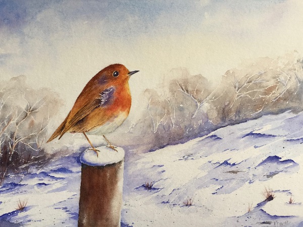 Winter Robin