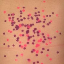BBW_Willow - Pink and purple wax