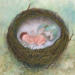 ' Faerie Baby Nest'