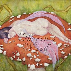 'To Sleep Perchance to Dream'