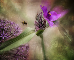 Down Amongst the Flowers