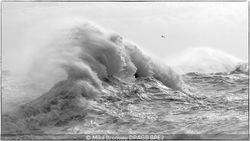 Beauty In The Waves