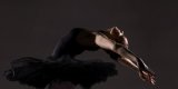 Black Swan