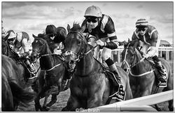 Going For The Winning Post