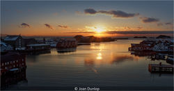 Lofoton Sunset