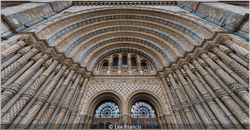 Museum Entrance Study