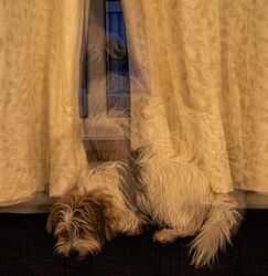 Night Patrol, Sleeping on the Job