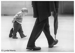 Walking with Umbrellas