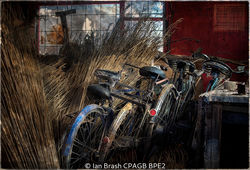 The Old Cycle Shed