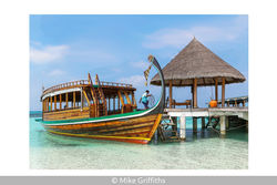 Coco Palm Jetty