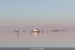 Lagoon At Pallestrina