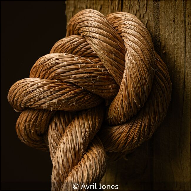 Knot In The Mood