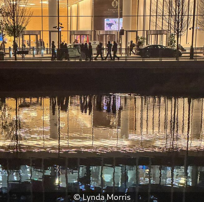 Layered Reflections