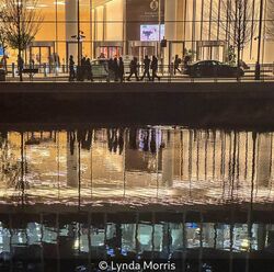 Layered Reflections