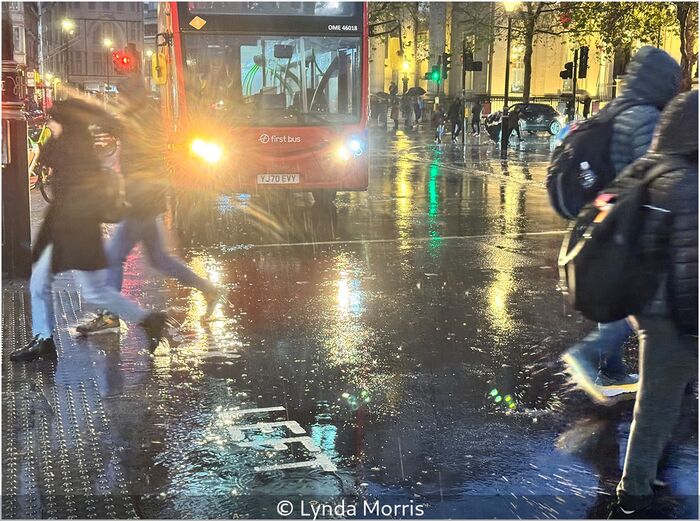 Dodging The Traffic