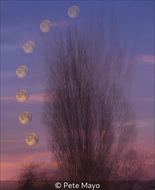 Bad Moon Rising