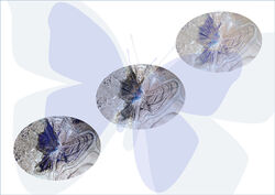 BUTTERFLIES from GUTTER ICE