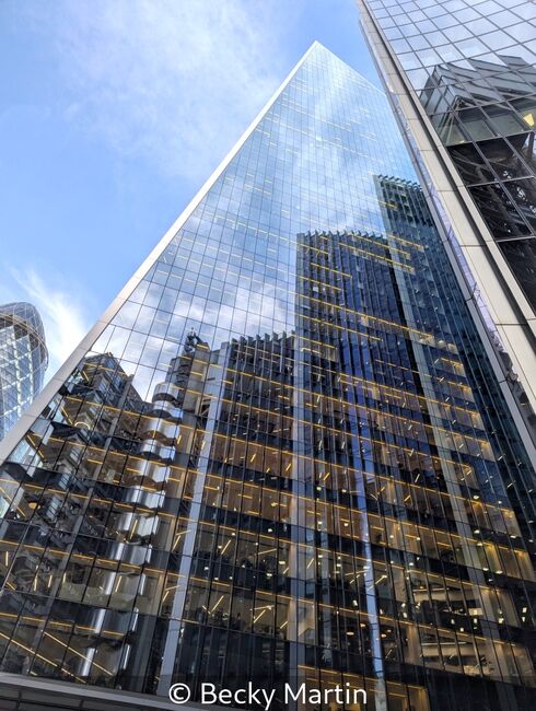 Reflection