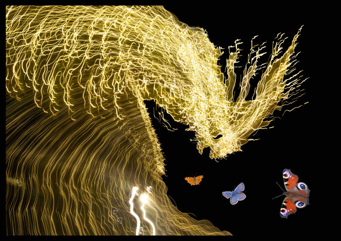 The Butterfly Effect - Into The Eye Of The Storm