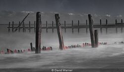Caister Carnage