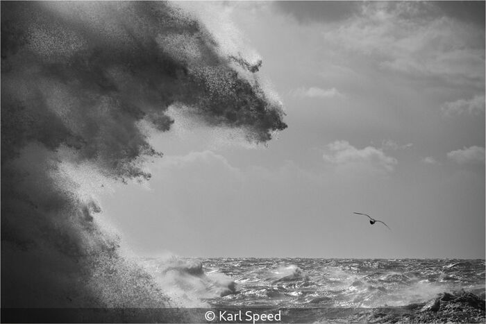 Monster Wave Chasing A Seagull