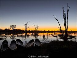 Last Light On The Delta
