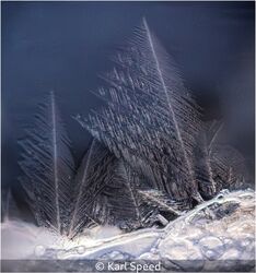 Ice Crystals Forming Within An Ice Bubble