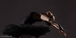 Black Swan