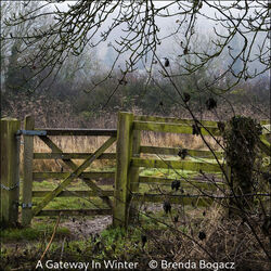 A Gateway In Winter