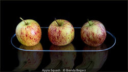 Apple Squash
