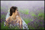 Contemplation