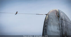 Flyers At Rest