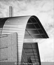 Lines And Curves At The Crick
