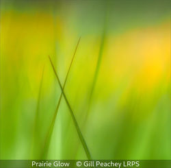 Prairie Glow
