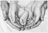In Safe Hands