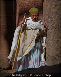 The Pilgrim