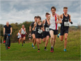 Leader of The Pack
