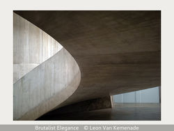 Brutalist Elegance