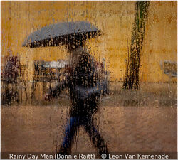 Rainy Day Man (Bonnie Raitt)