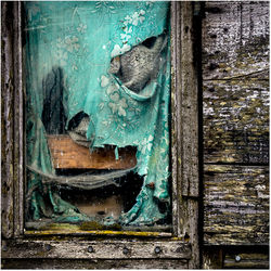 Torn Curtain