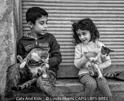 Cats And Kids