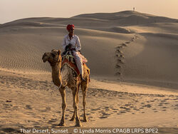 Thar Desert, Sunset