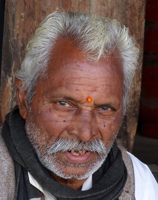 Man in Ranthambore