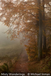 Misty Wanderings