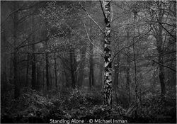 Standing Alone