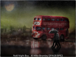 No 8 Night Bus
