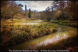 The Wetlands Wakehurst Place